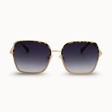Load image into Gallery viewer, Dax Eyewear Aspen