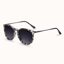 Load image into Gallery viewer, Dax Eyewear Midnight Ash Black