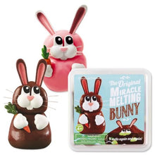 Load image into Gallery viewer, The original melting bunny