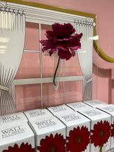 Load image into Gallery viewer, Wall Flowers