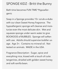 Load image into Gallery viewer, Soap Sponges