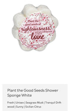 Load image into Gallery viewer, Soap Sponges