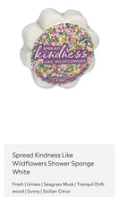 Load image into Gallery viewer, Soap Sponges