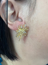 Load image into Gallery viewer, Taylor Shaye- Star Cluster Studs